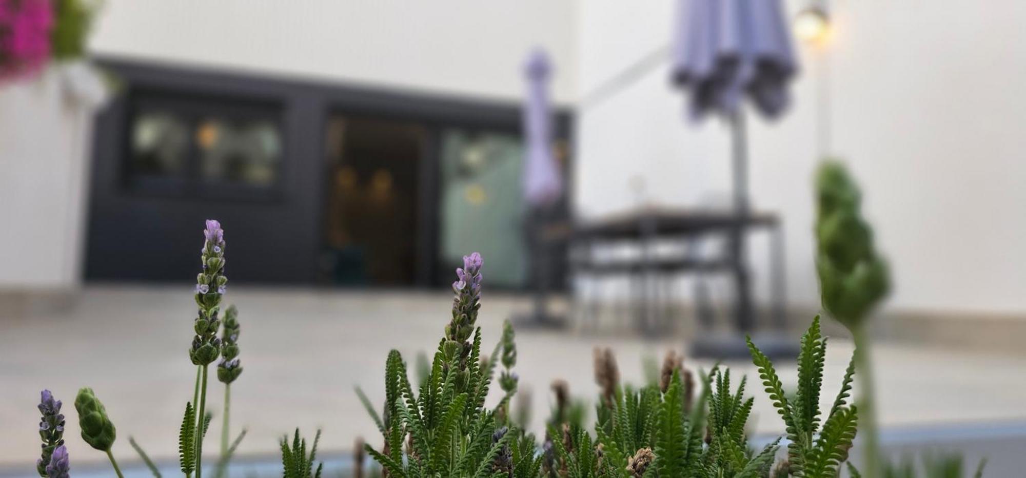 Albayda Garden Διαμέρισμα Γρανάδα Εξωτερικό φωτογραφία