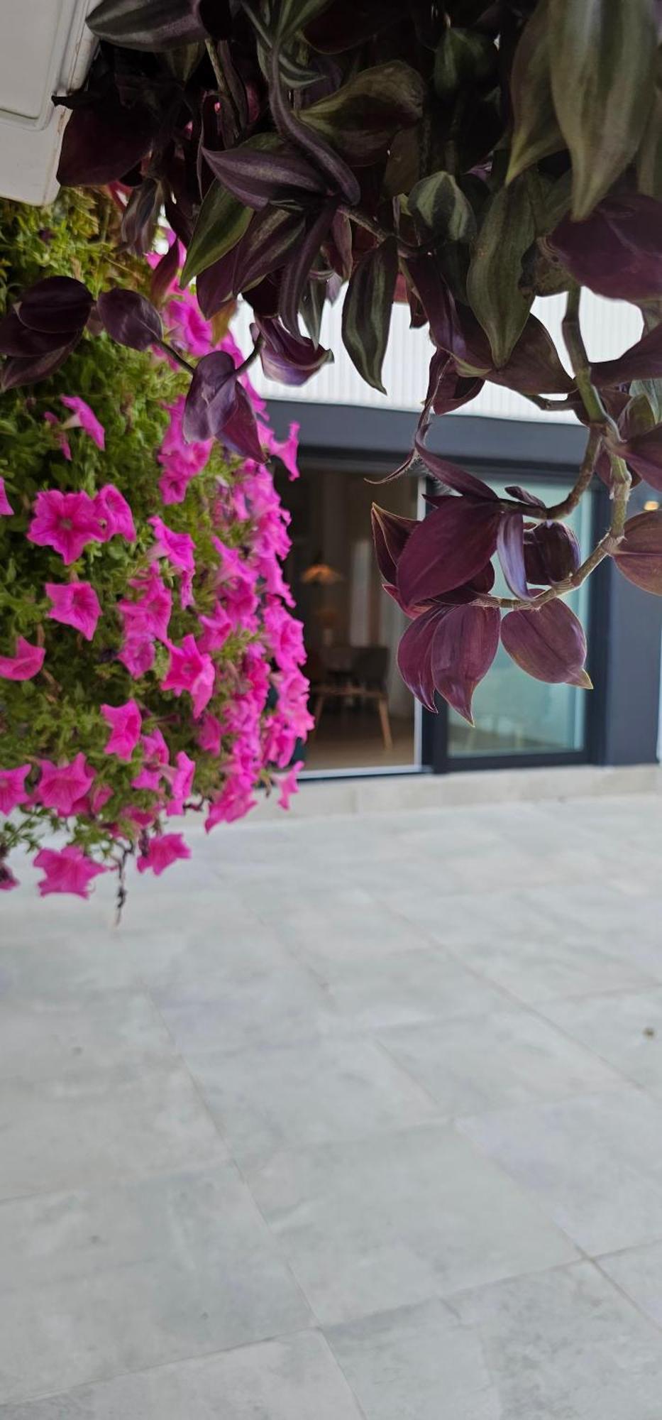 Albayda Garden Διαμέρισμα Γρανάδα Εξωτερικό φωτογραφία