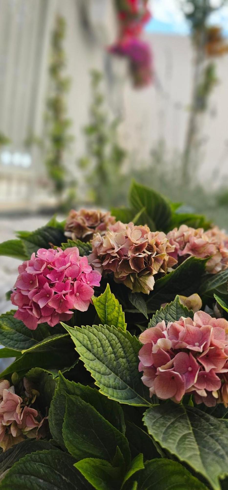 Albayda Garden Διαμέρισμα Γρανάδα Εξωτερικό φωτογραφία
