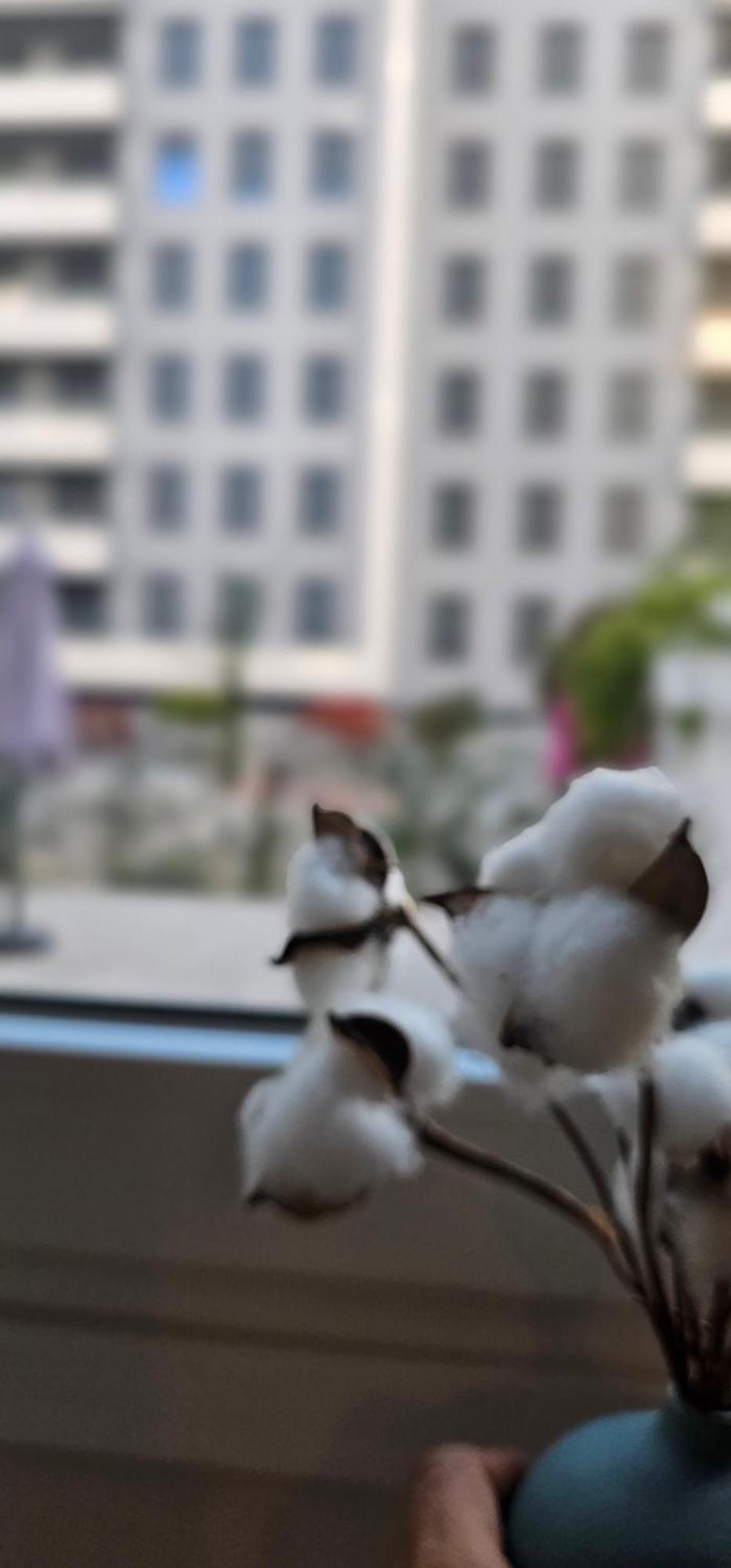 Albayda Garden Διαμέρισμα Γρανάδα Εξωτερικό φωτογραφία